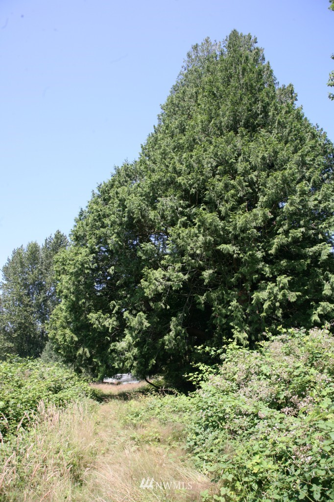 19679 County Line Road Mount Vernon, WA 98273 - Photo 9 of 15 Gallery Image 9