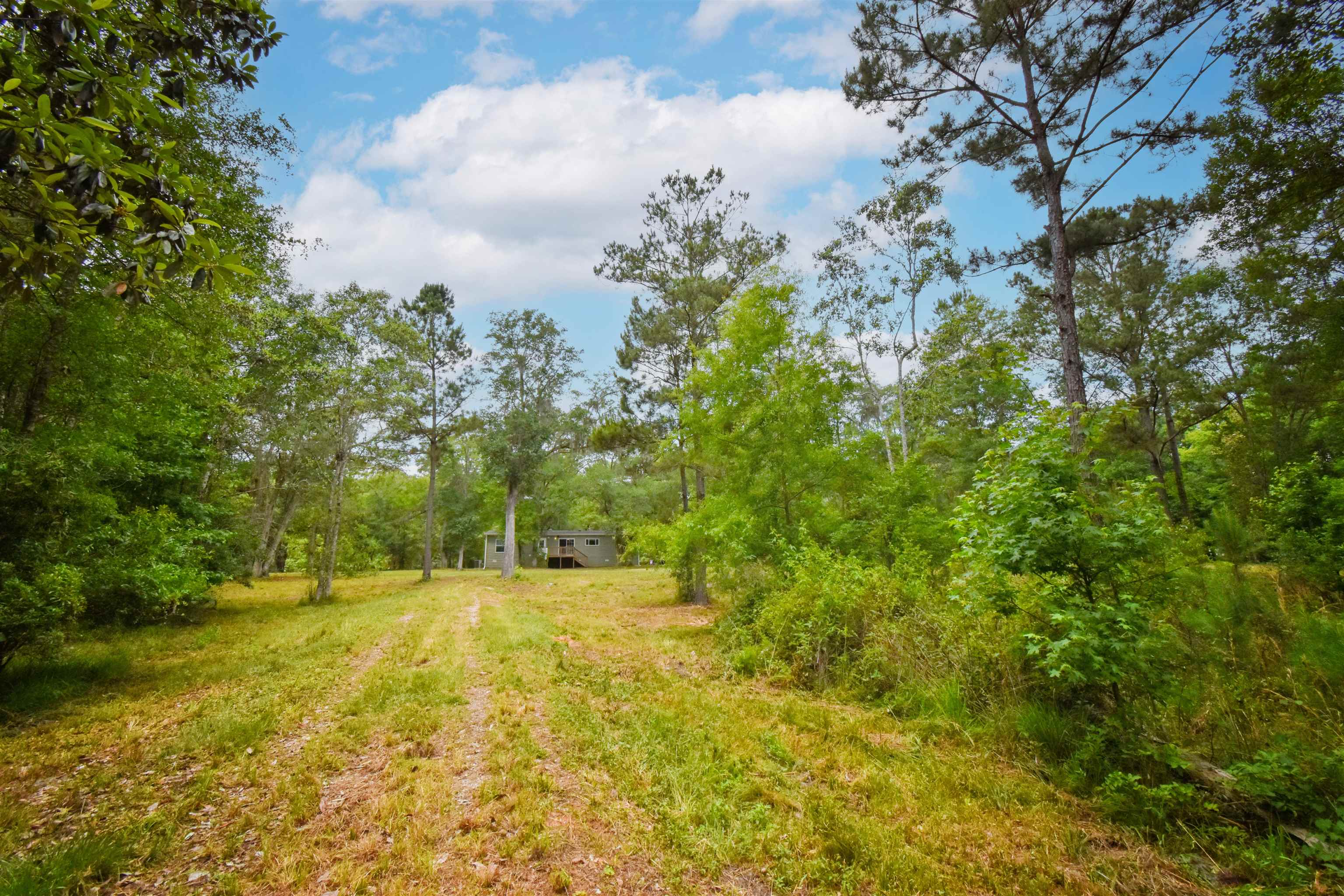 4013 McCall Bridge Road Quincy, FL 32351 - Photo 30 of 37