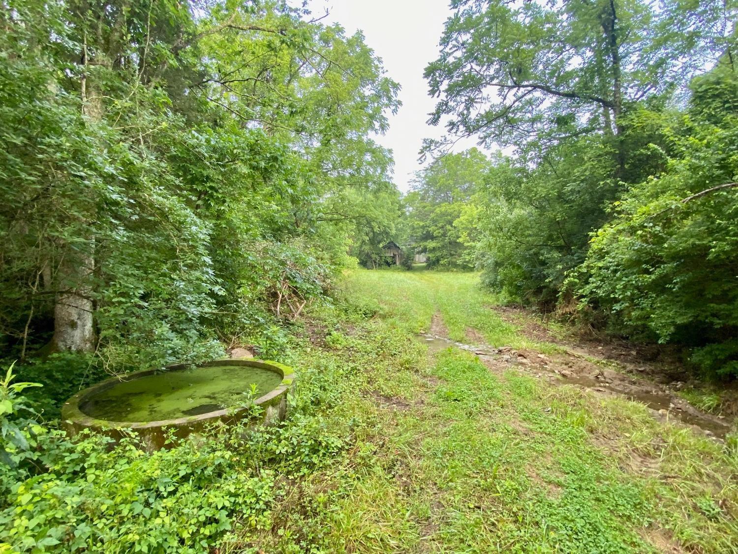 Acre Brier Ridge Road West Union, OH 45693 - Photo 13 of 27