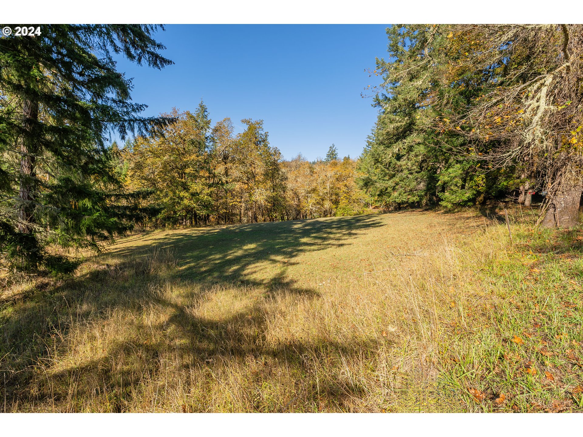 896 Troy Road Oakland, OR 97462 - Photo 41 of 48 Gallery Image 41