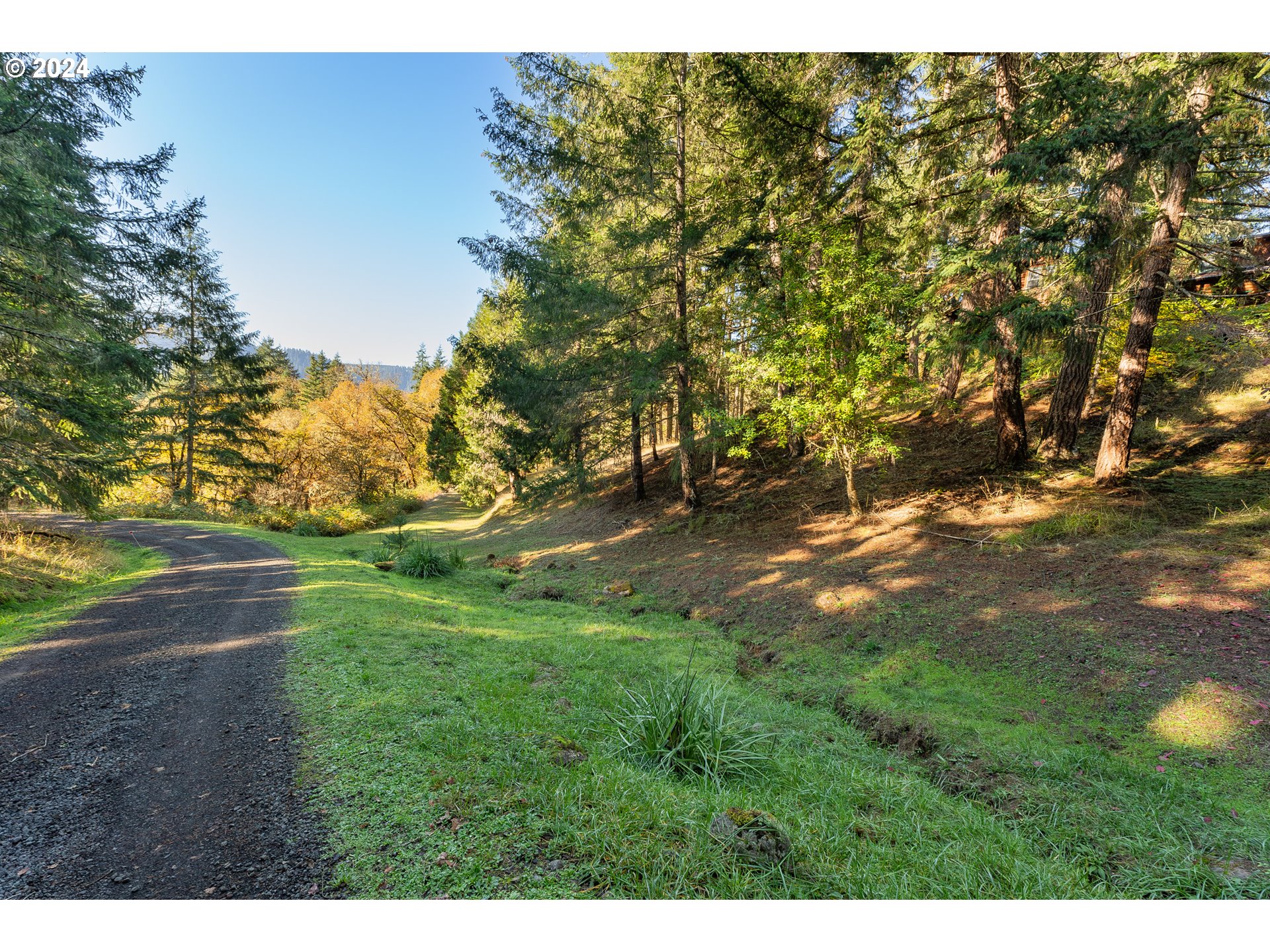 896 Troy Road Oakland, OR 97462 - Photo 42 of 48 Gallery Image 42
