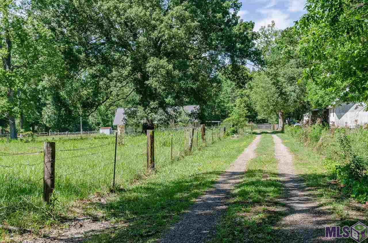 17130 Charlie Brown Road Prairieville, LA 70769 - Photo 4 of 29 Driveway