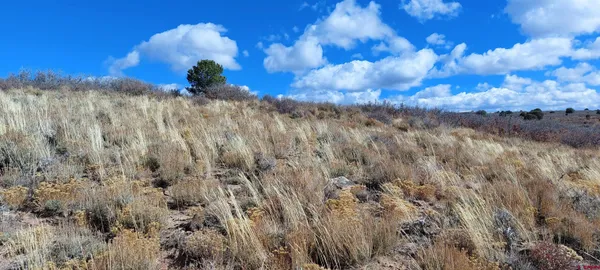 a view of an ocean