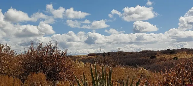a view of a lake with sunset