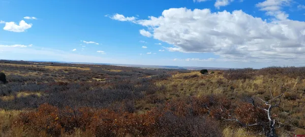 a view of a lake in middle of forest