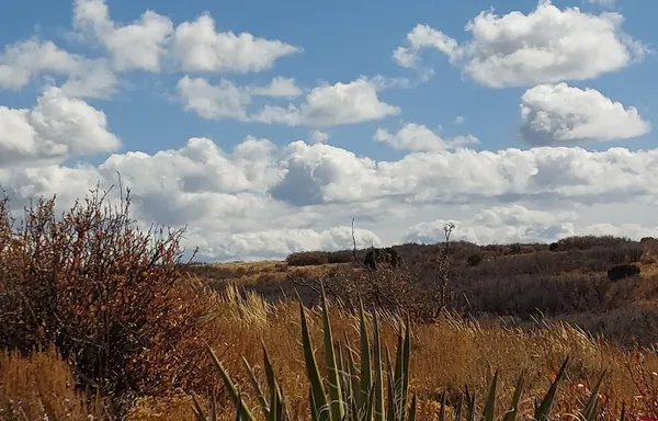 a view of a sky in the background