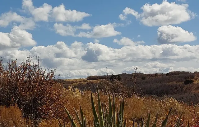 a view of a sky in the background