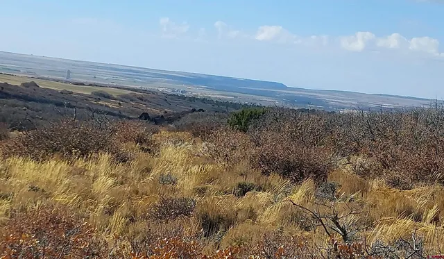 a view of a field of grass and mountain