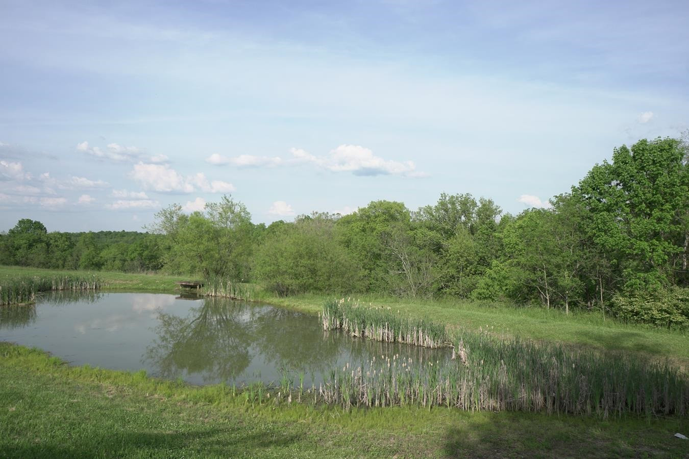 1230 Clos Road Falmouth, KY 41040 - Photo 5 of 50