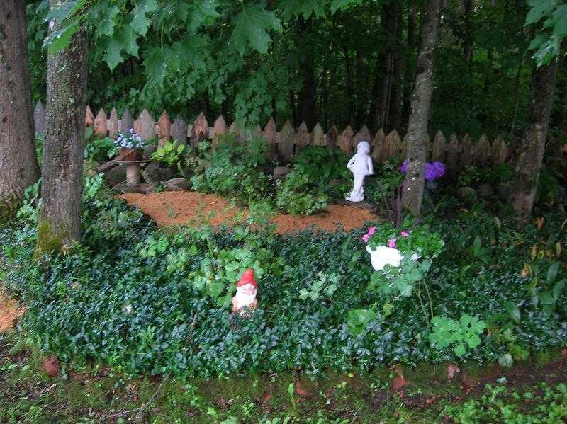 99 Meeting House Road Solon, ME 04979 - Photo 20 of 24 Yard/Garden.