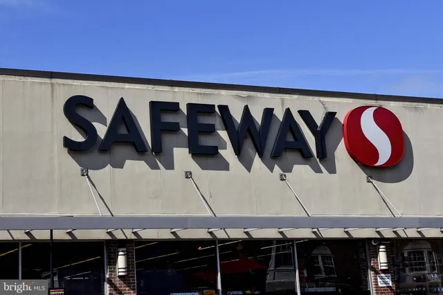 a view of a yard with large trees