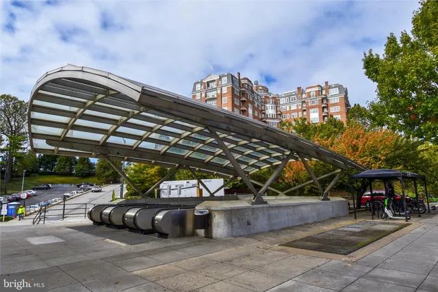 a view of a bench in the backyard
