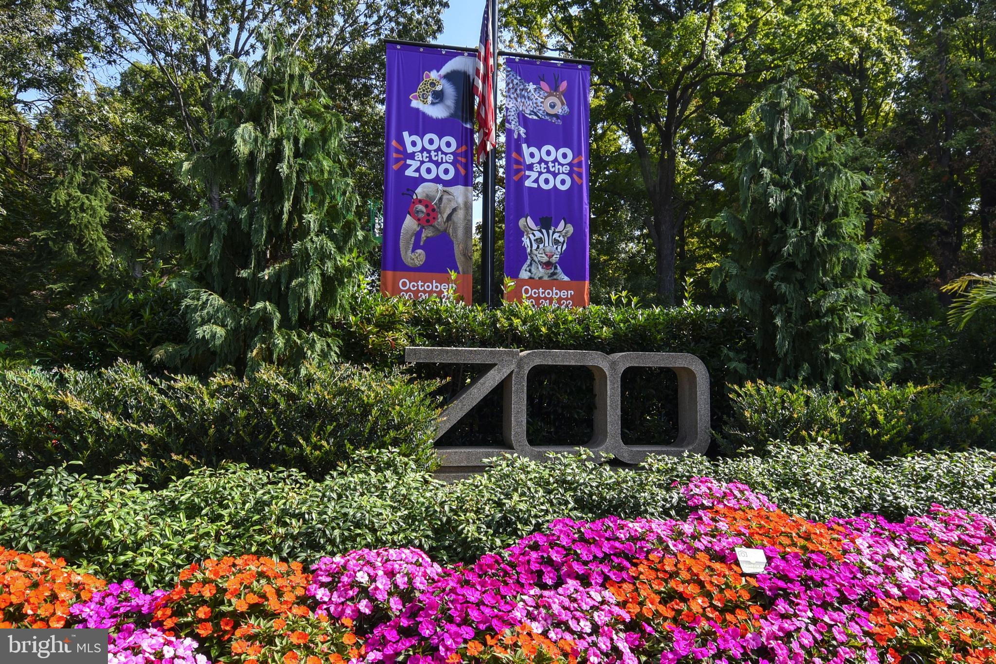 1731 Willard Street Northwest, Unit 105 Washington, DC 20009 - Photo 51 of 52 a sign that is in front of flowers