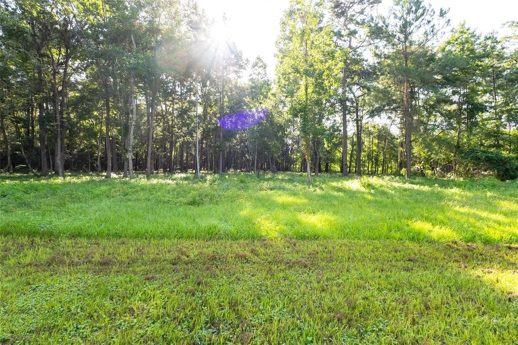 7728 White Rock Road Cleveland, TX 77328 - Photo 9 of 36 a view of a park with large trees