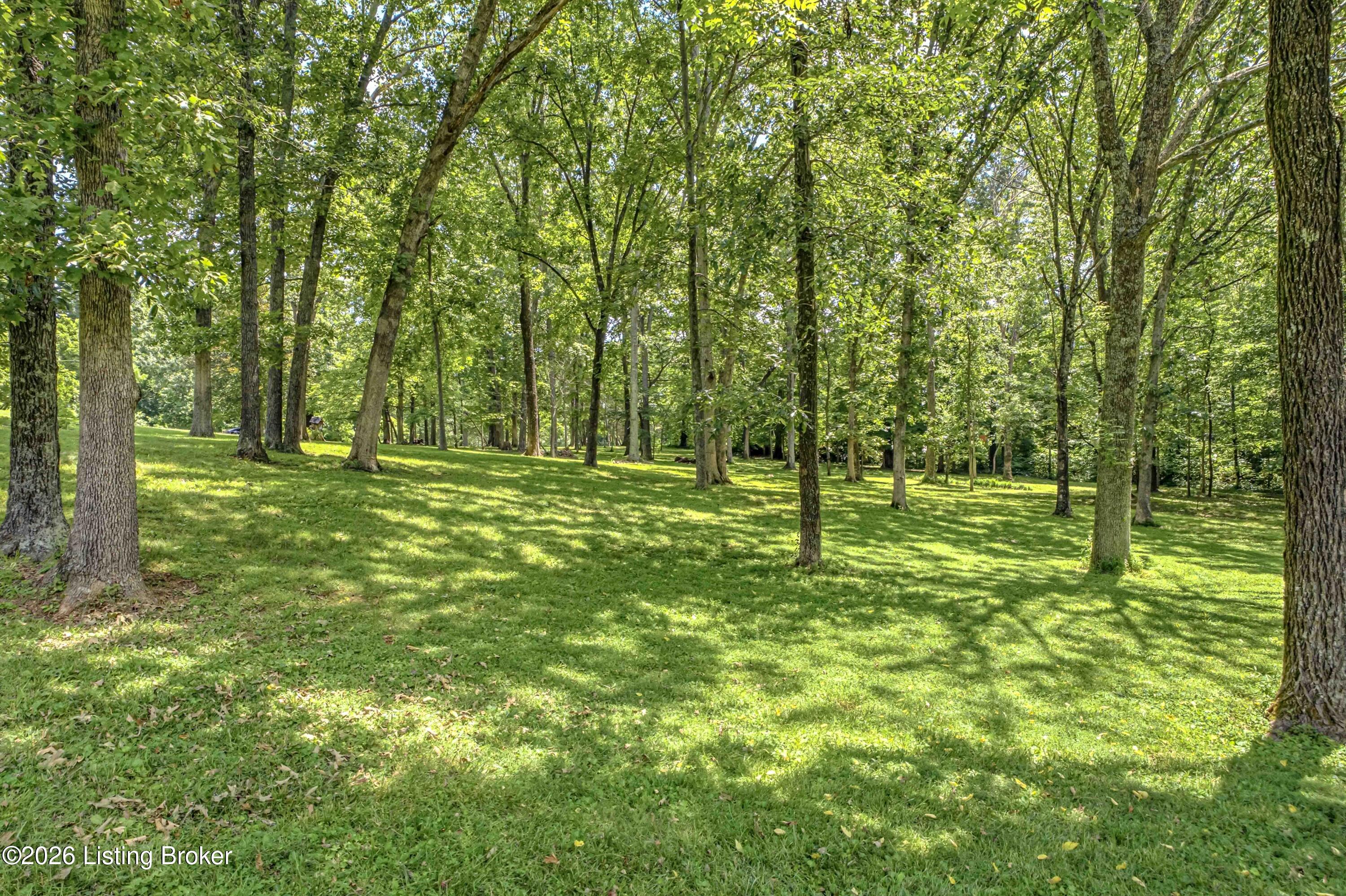 325 Quail Run Road Brandenburg, KY 40108 - Photo 29 of 64 DSC01479