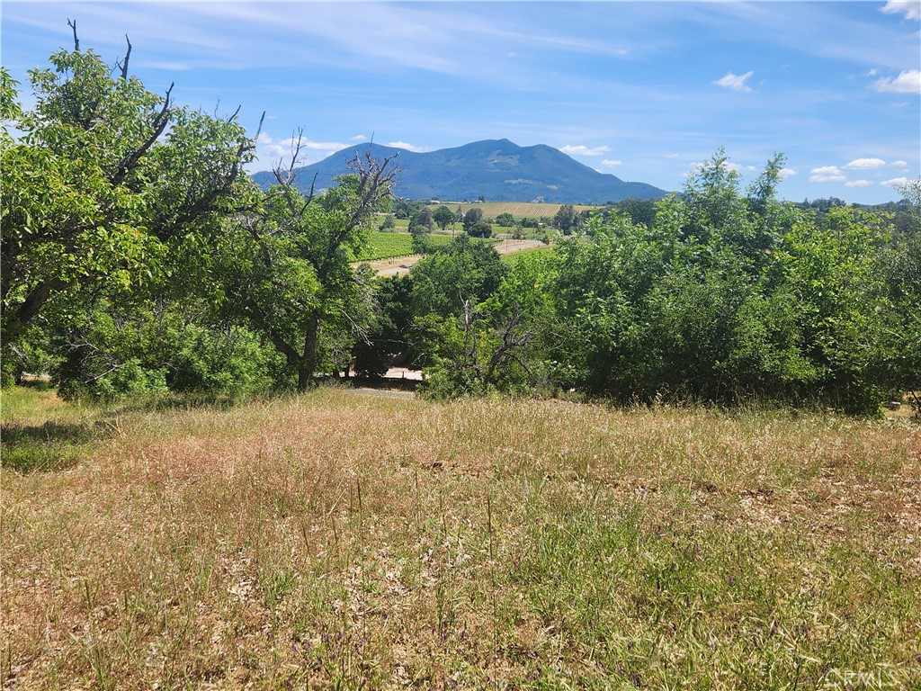 a view of a lake with a mountain in the background