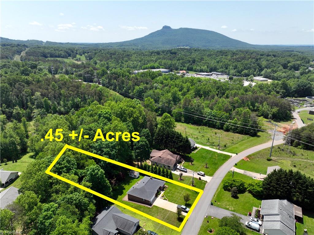 516 Lynchburg Road Pilot Mountain, NC 27041 - Photo 2 of 20