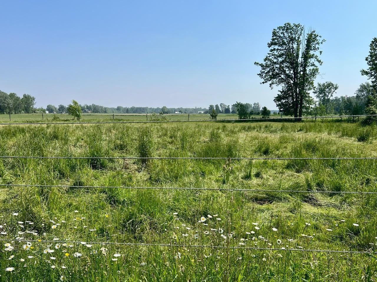760 West Wirbel Road Pinconning, MI 48650 - Photo 42 of 65