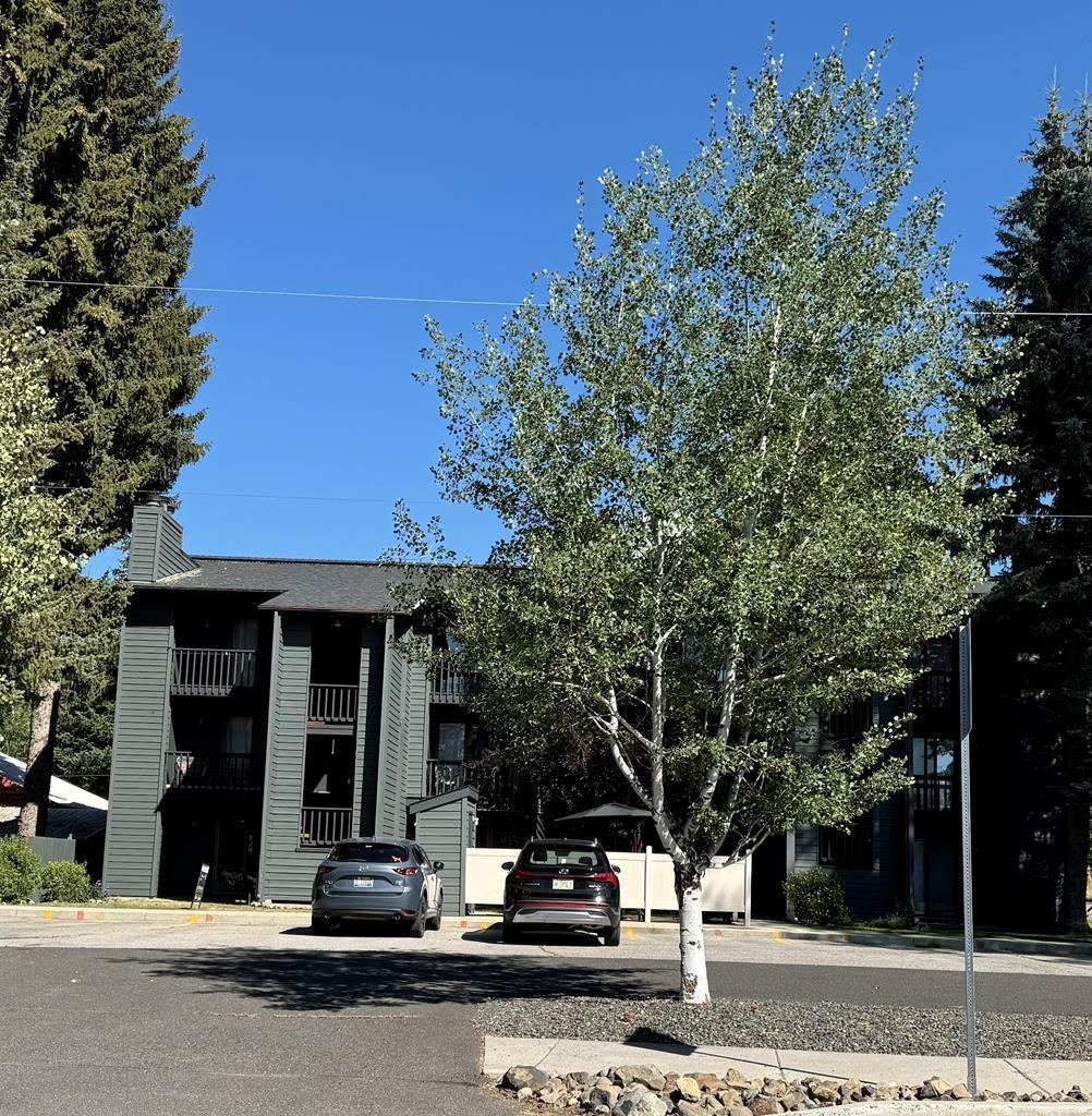 601 Hemlock Street, Unit 3 McCall, ID 83638 - Photo 3 of 31 Freshly Painted Complex, Entire Ashbrook Condo Complex Recently Painted for a Fresh Updated New Look!!!
