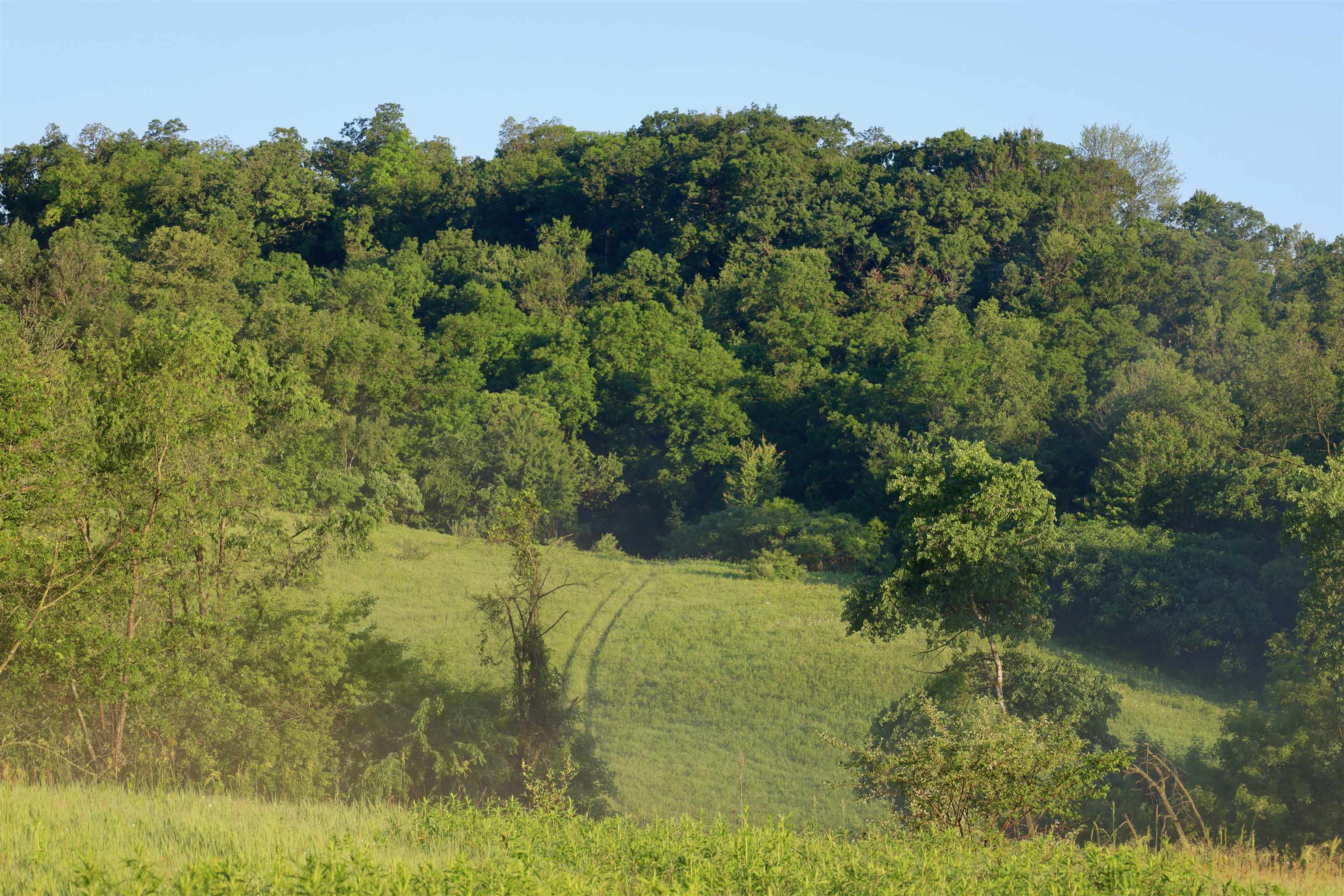 Tbd Wheat Hollow Road Cazenovia, WI 53924 - Photo 31 of 42