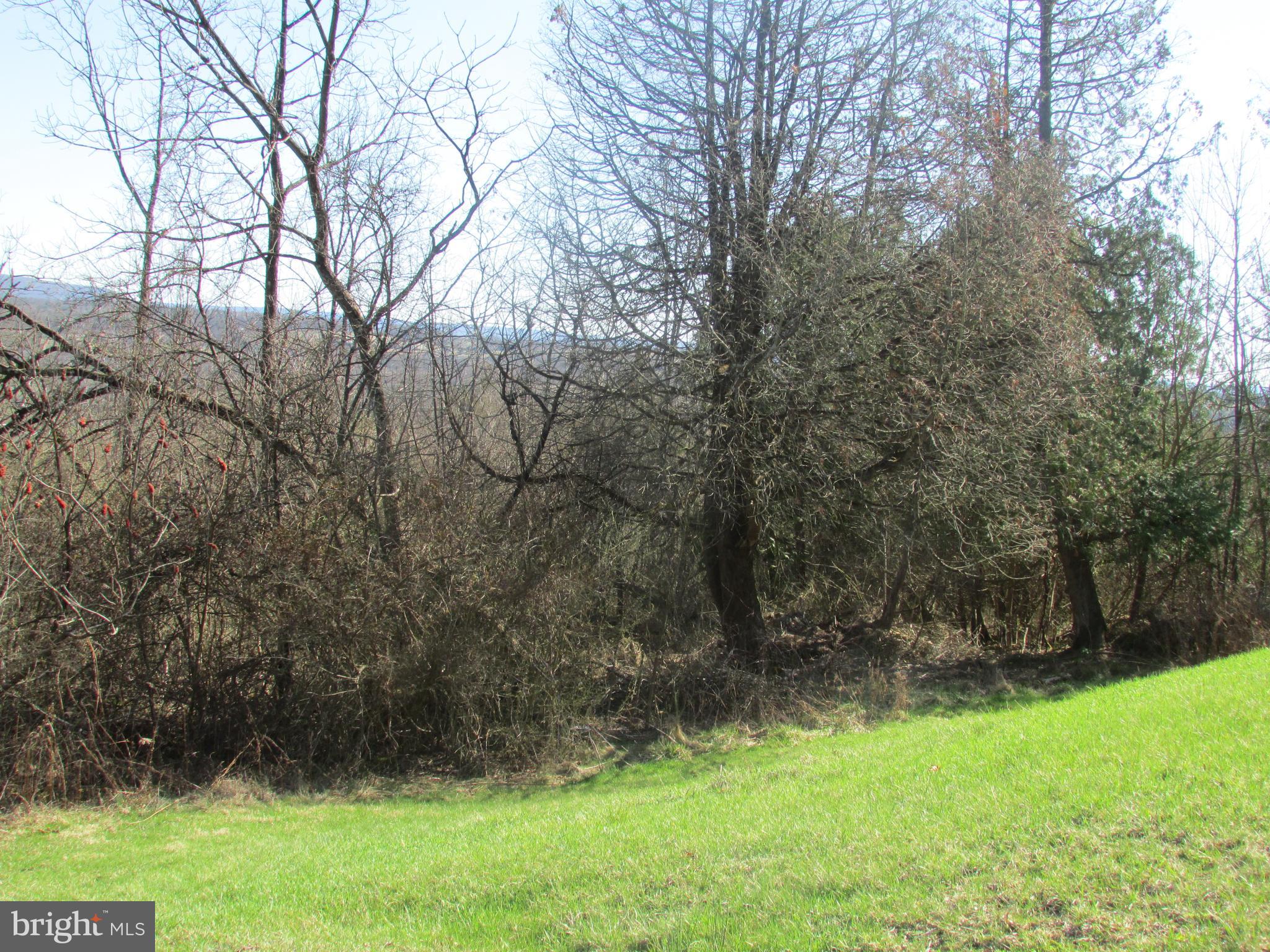 1070 Valley View Road Bellefonte, PA 16823 - Photo 43 of 52 a view of backyard with green space