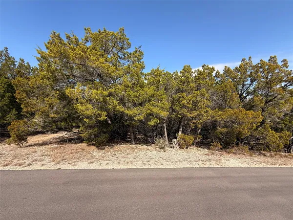 $38,000 | 20206 Lee Lane, Lago Vista, TX 78645