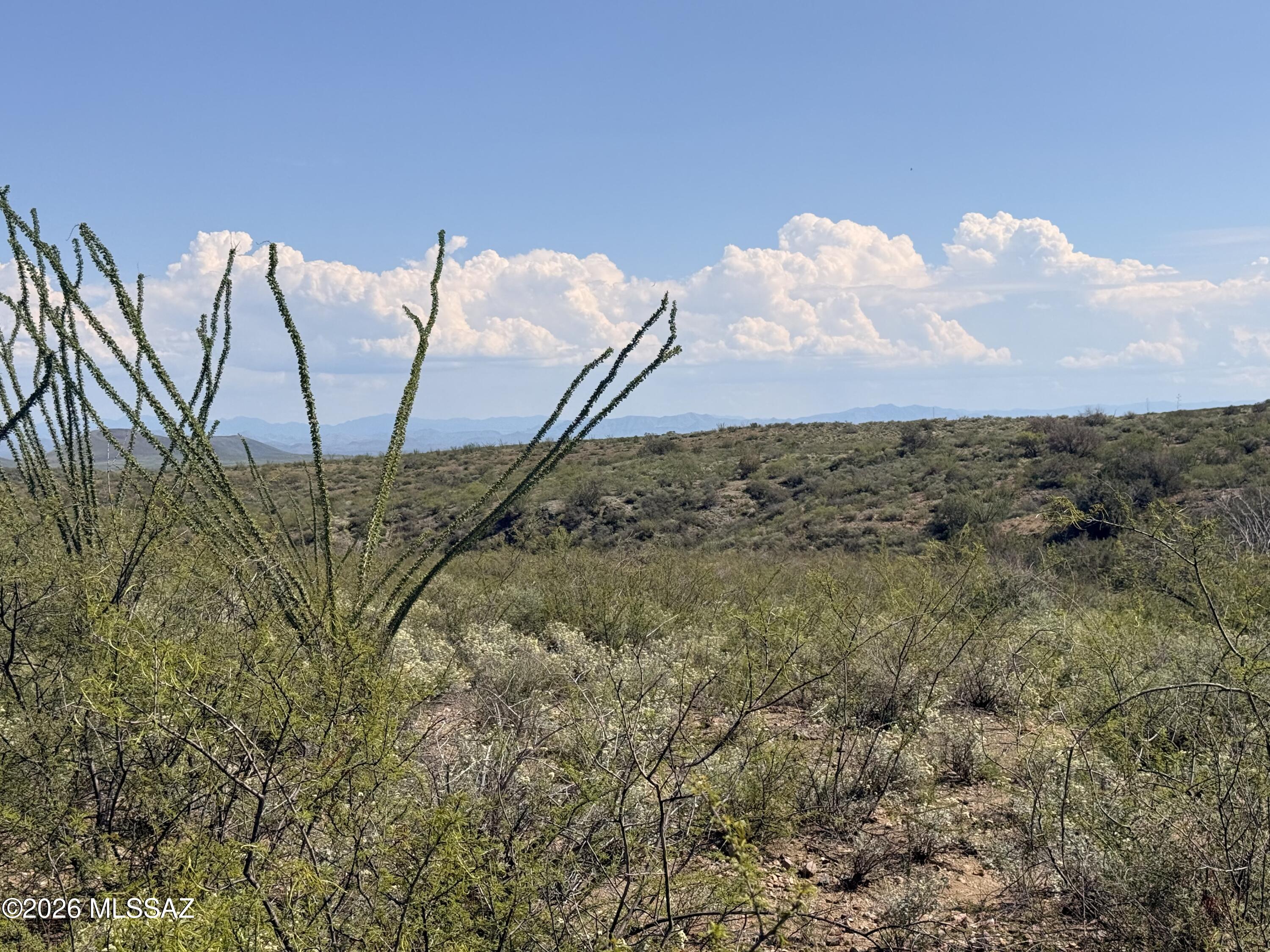 40-ac East Wildcat Road, Unit 141 Douglas, AZ 85607 - Photo 31 of 50 IMG_5943