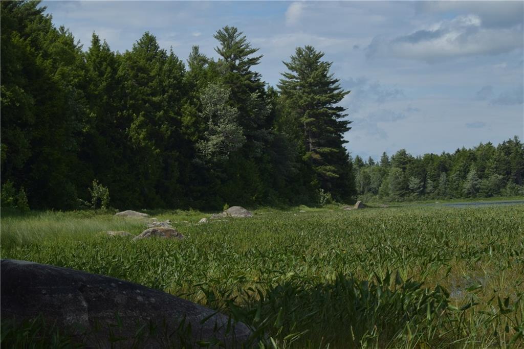 37 Escutarsis Road Lowell, ME 04493 - Photo 10 of 13 Maine Waterfront Land for Sale in Lowell