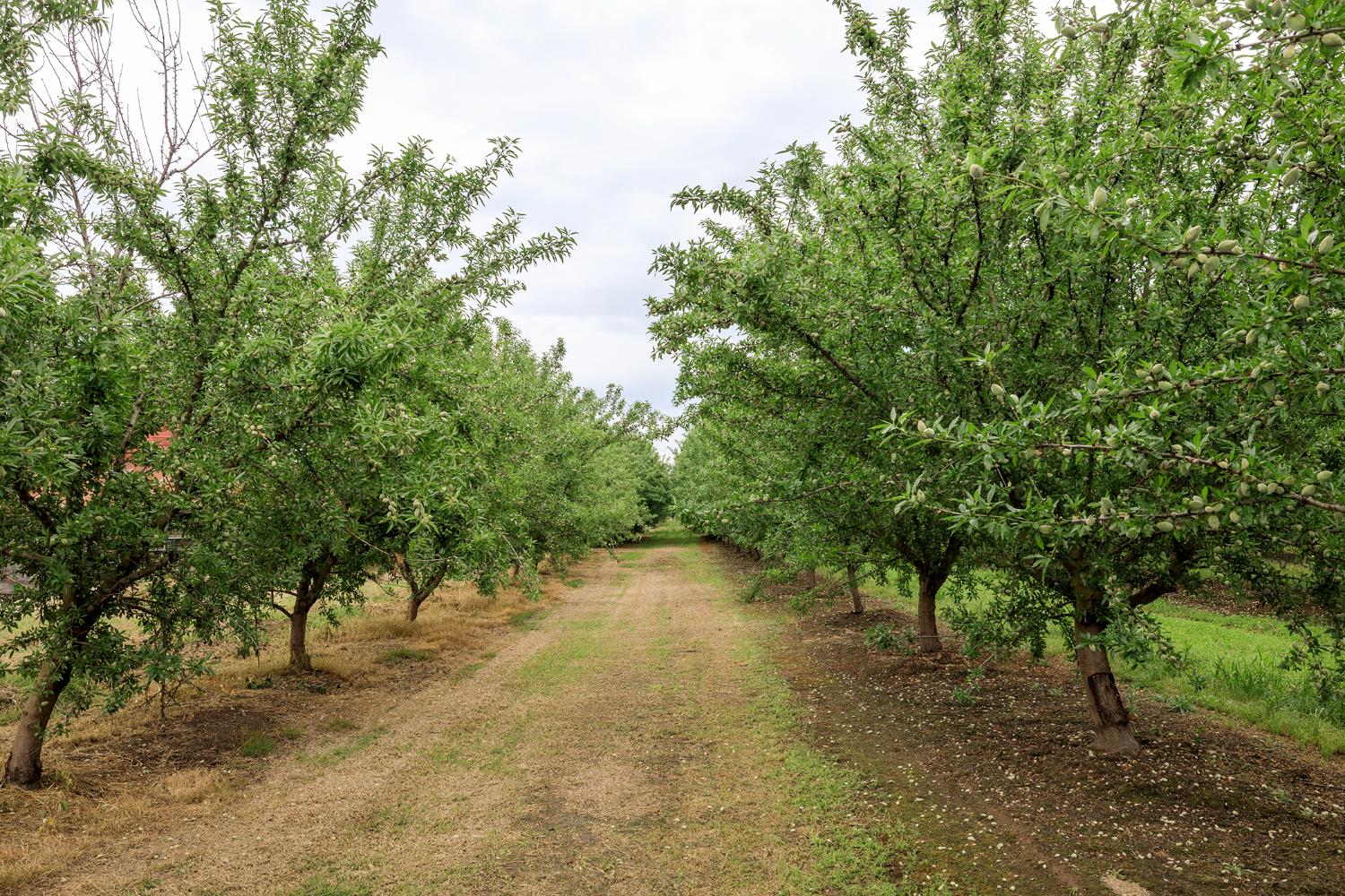 1342 Hickman Road Hickman, CA 95323 - Photo 47 of 48