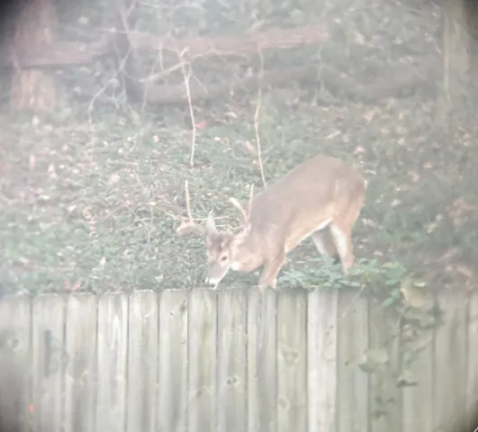 a close up of a white marble wall