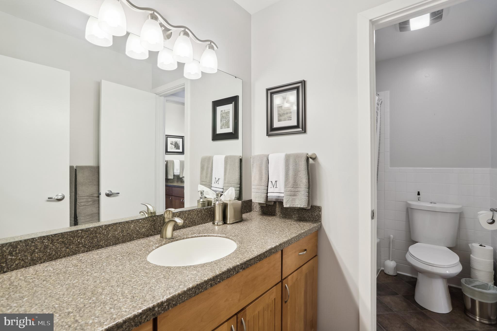 27 Wilelinor Drive Edgewater, MD 21037 - Photo 13 of 35 Bath off Platform