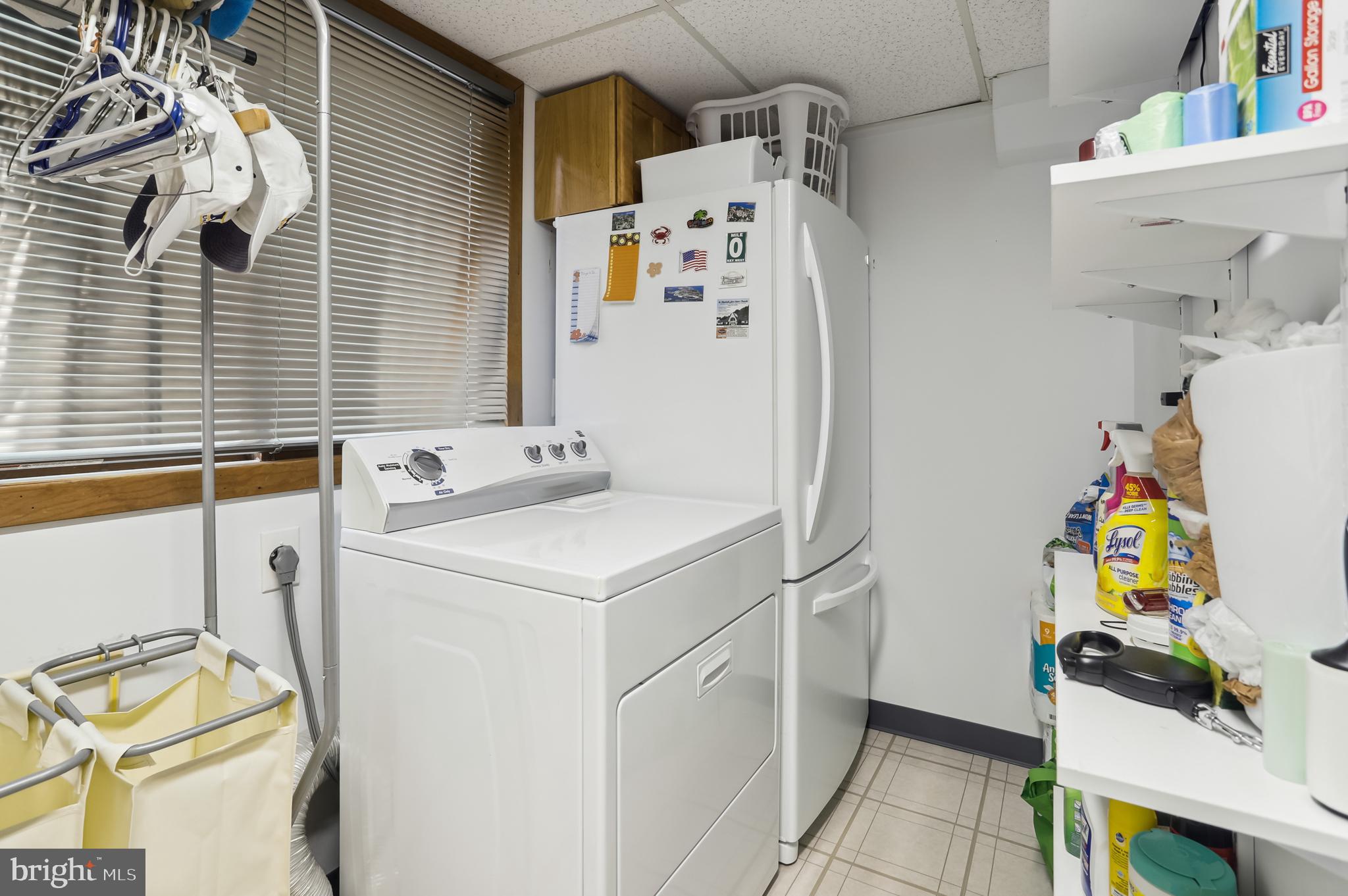 27 Wilelinor Drive Edgewater, MD 21037 - Photo 27 of 35 Extra fridge and built in shelves
