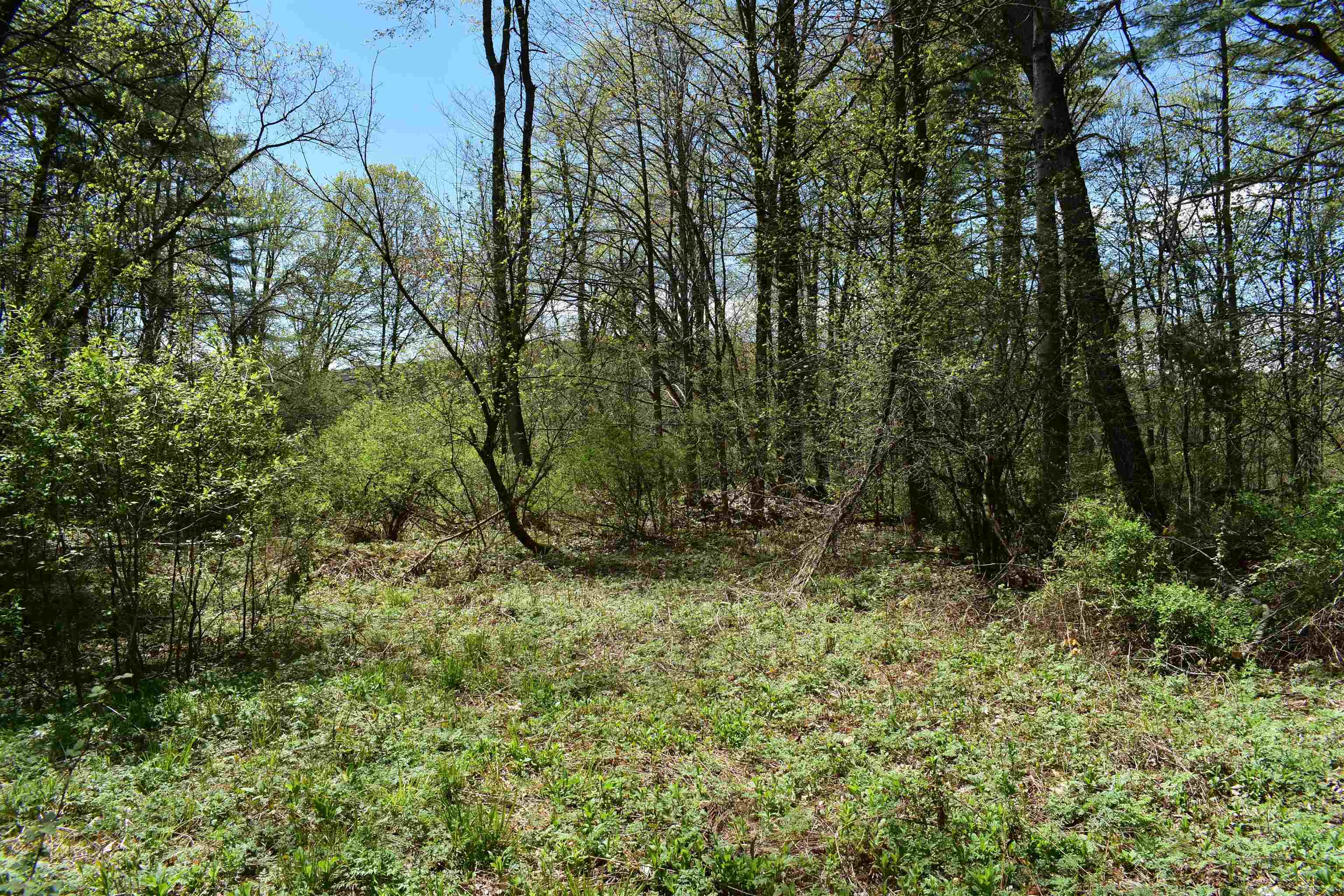 1850 Stock Farm Road, Unit 68 Randolph, VT 05060 - Photo 14 of 25
