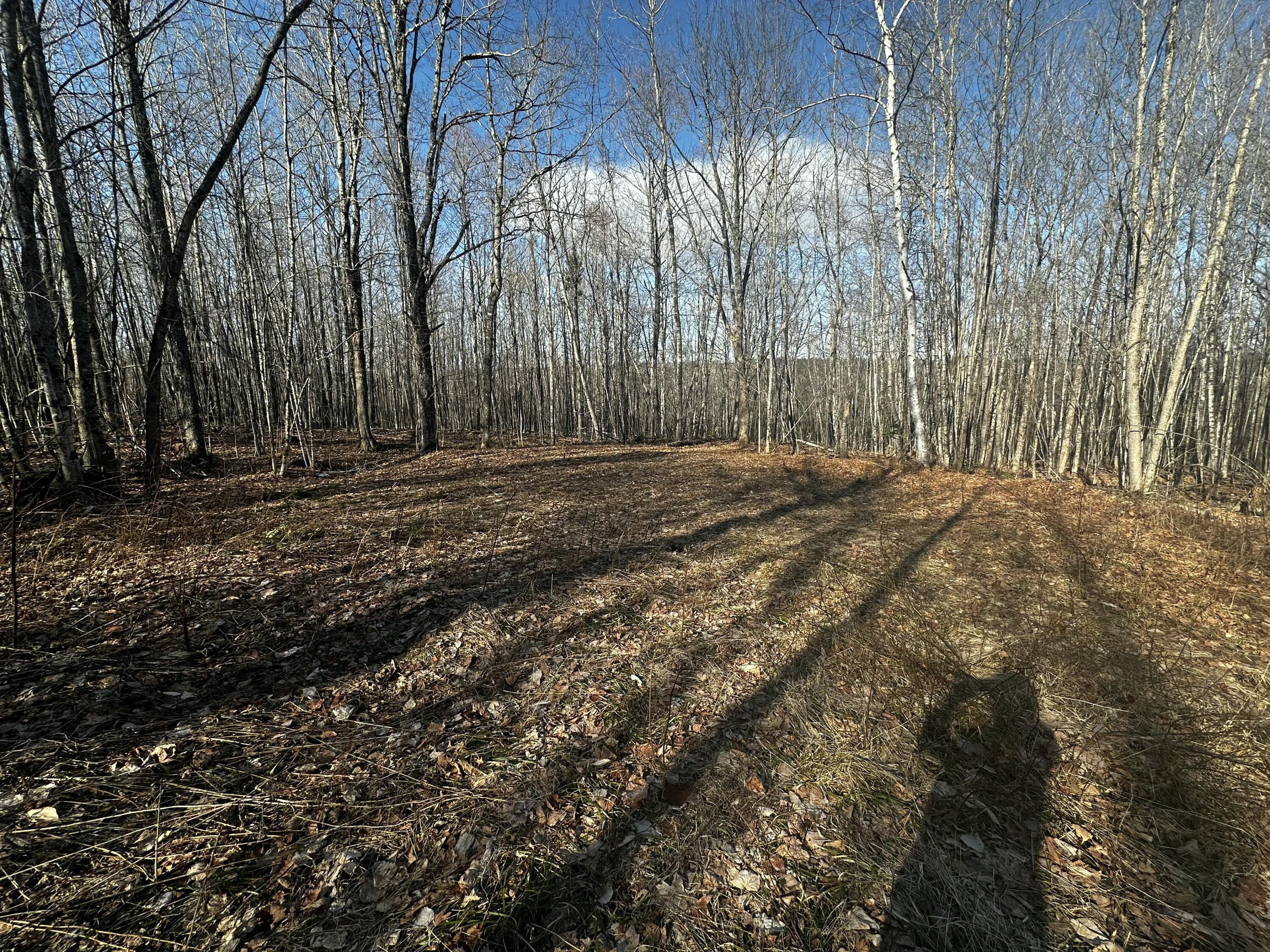 846 East Ridge Road Cornville, ME 04976 - Photo 8 of 10 tempImage1vup3p