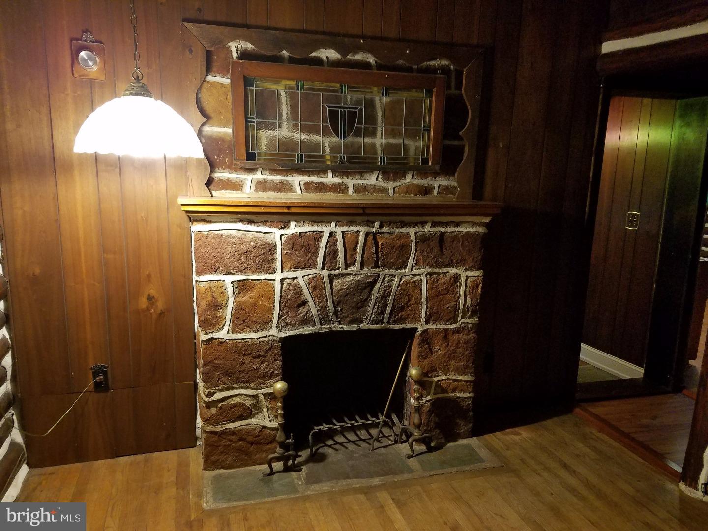 169 Stokes Road Medford Lakes, NJ 08055 - Photo 4 of 20 Fireplace