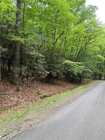 $25,900 | Lot 35 Baldwin Drive, Lowgap, NC 27024