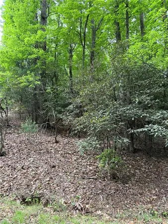 $25,900 | Lot 35 Baldwin Drive, Lowgap, NC 27024