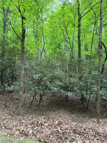 $25,900 | Lot 35 Baldwin Drive, Lowgap, NC 27024