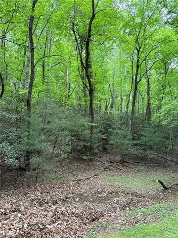 $25,900 | Lot 35 Baldwin Drive, Lowgap, NC 27024