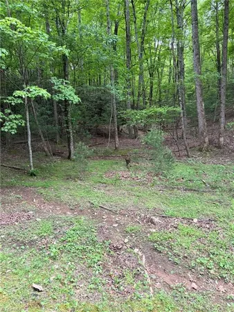 $25,900 | Lot 35 Baldwin Drive, Lowgap, NC 27024
