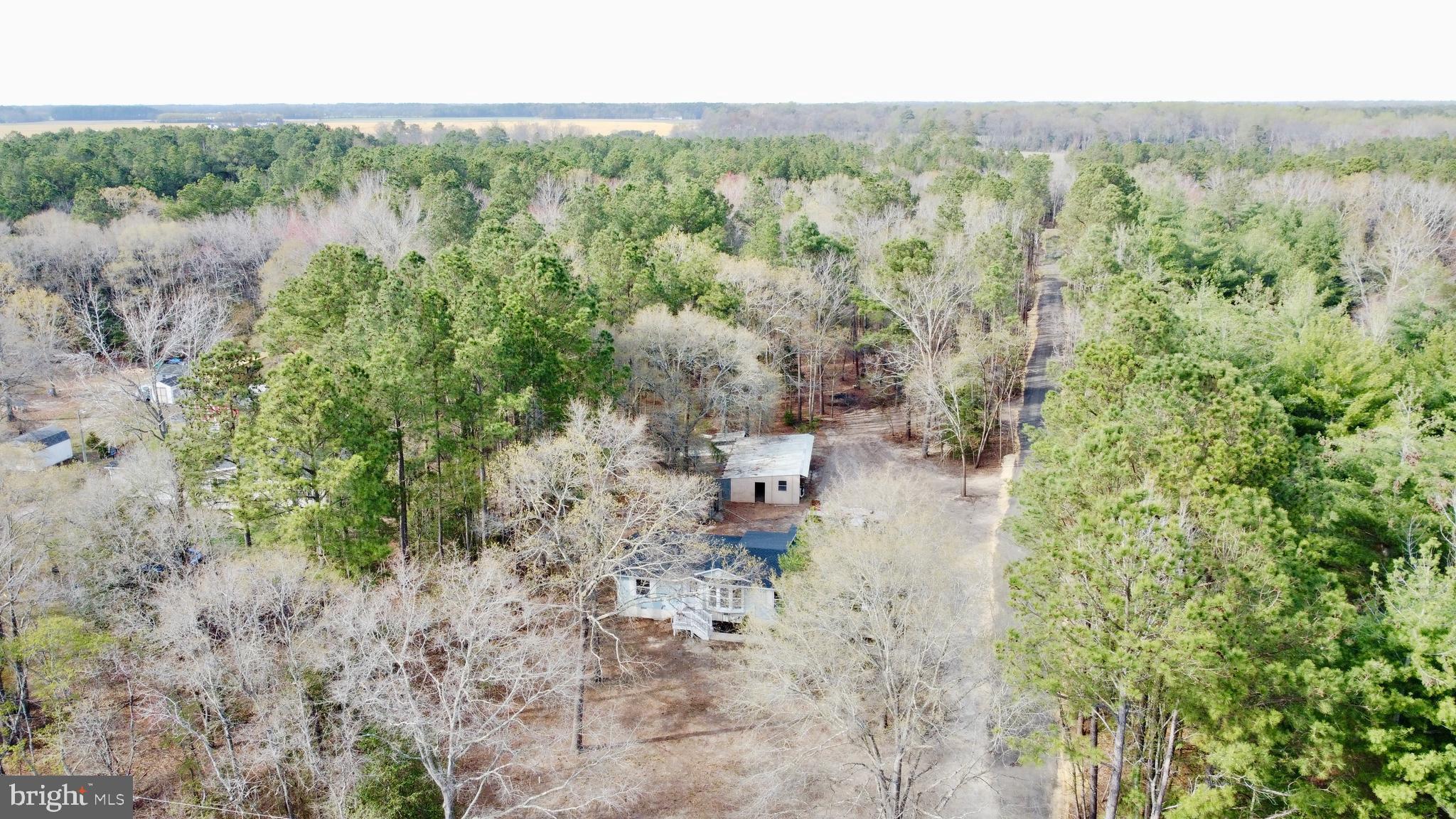 29086 Ellis Mill Road Seaford, DE 19973 - Photo 2 of 32