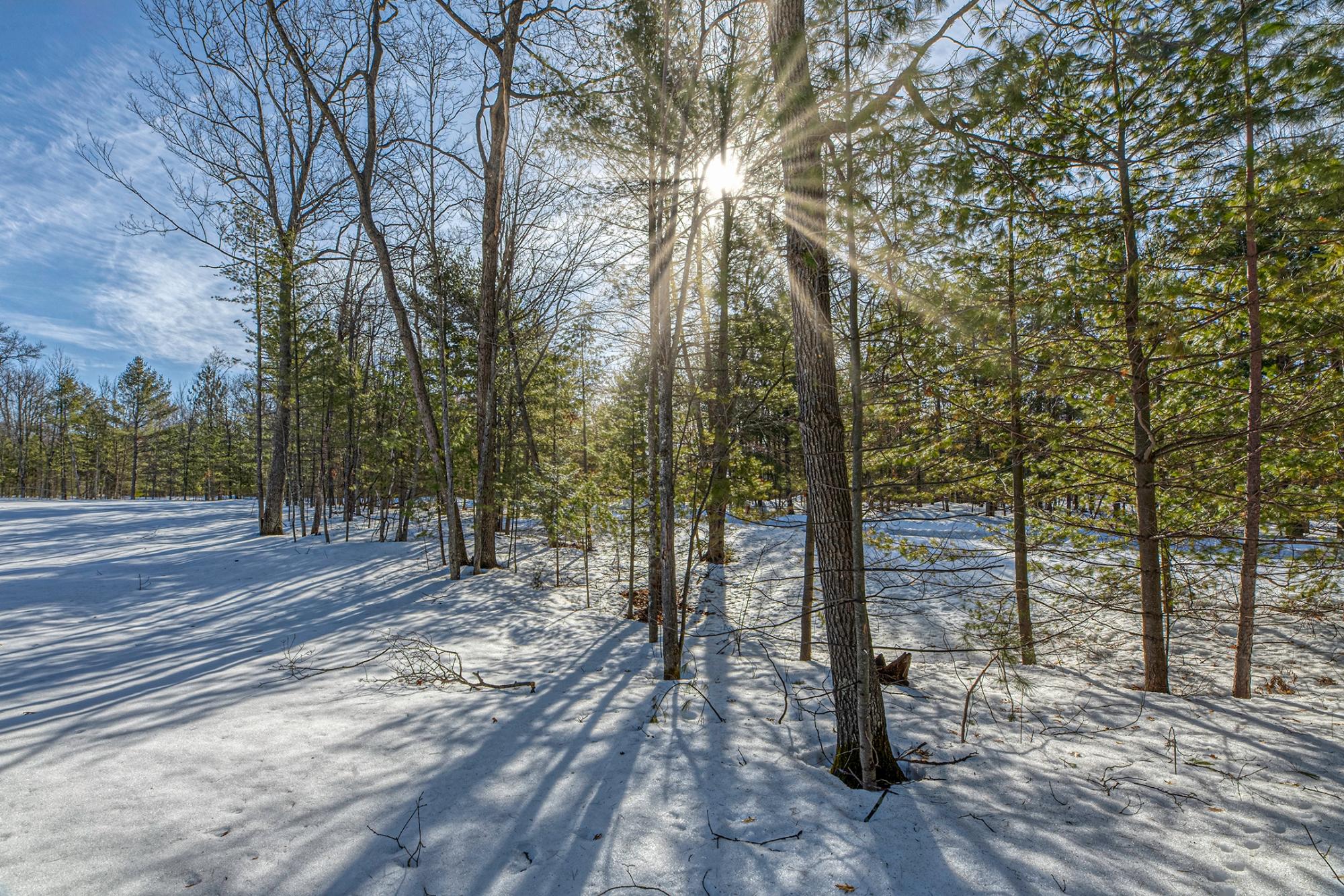 Off Fawn Rdg Lane, Unit 11 Eagle River, WI 54521 - Photo 5 of 26 Gallery Image 5