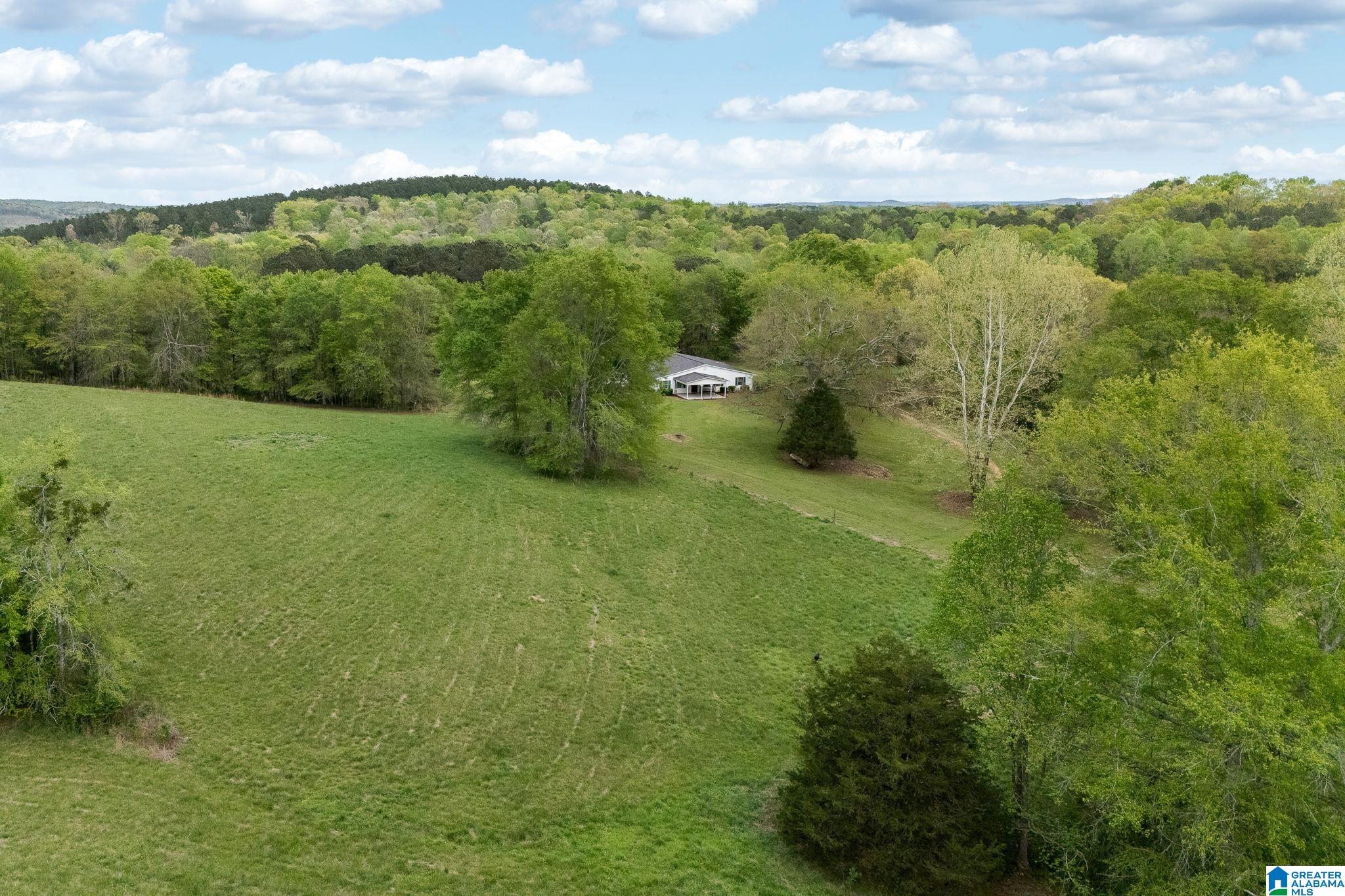1749 McCollum Church Road Lineville, AL 36266 - Photo 41 of 66