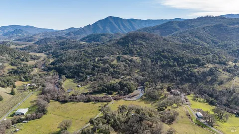 a view of a forest with mountains in the background