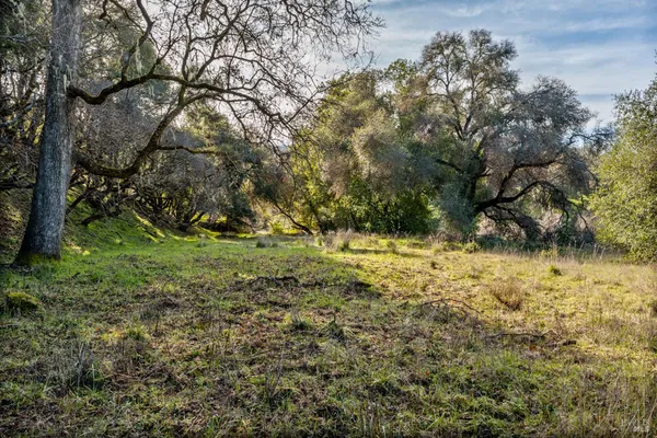 $295,000 | 0 Feliz Creek Road, Hopland, CA 95449
