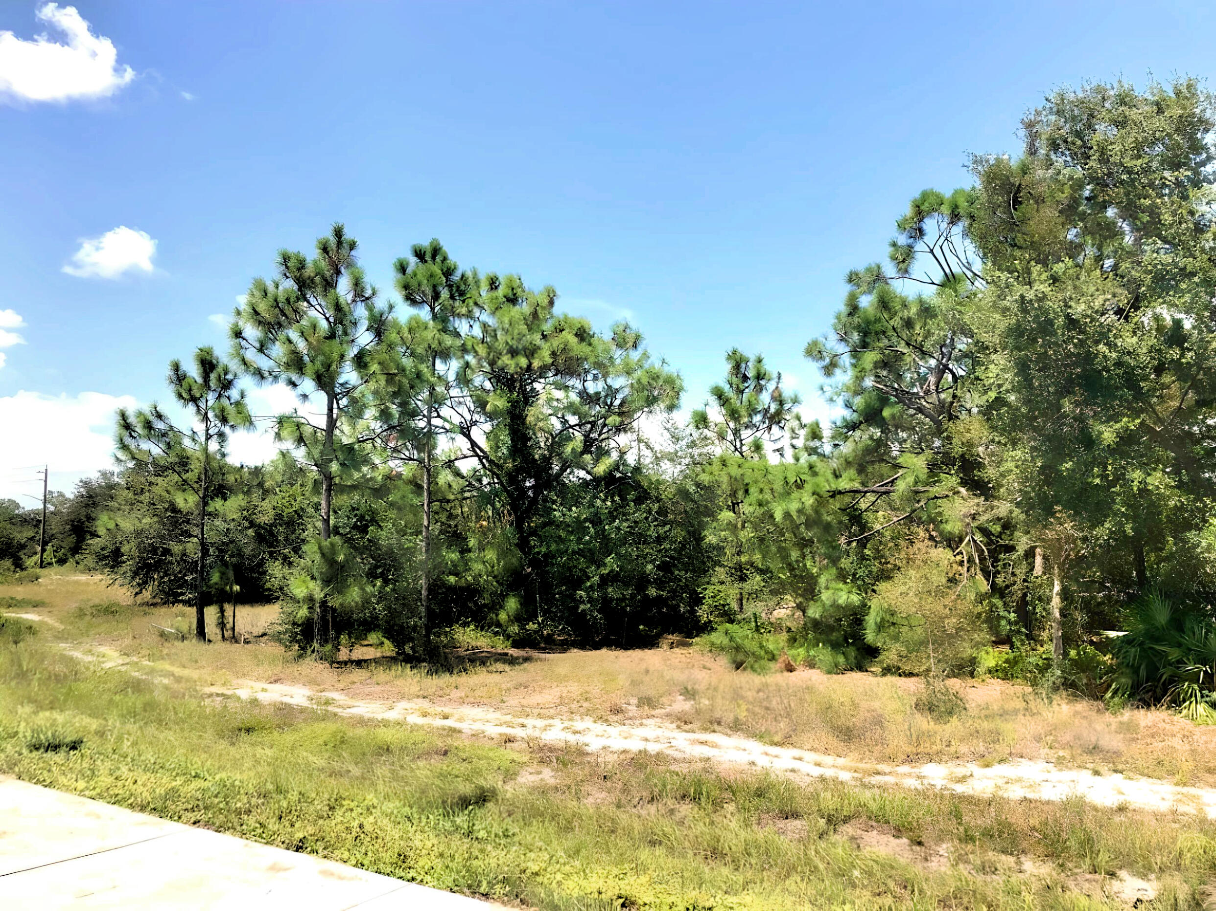 1114 Meadow Road Lehigh Acres, FL 33913 - Photo 6 of 7 368024940_3624200644475655_3381019529649