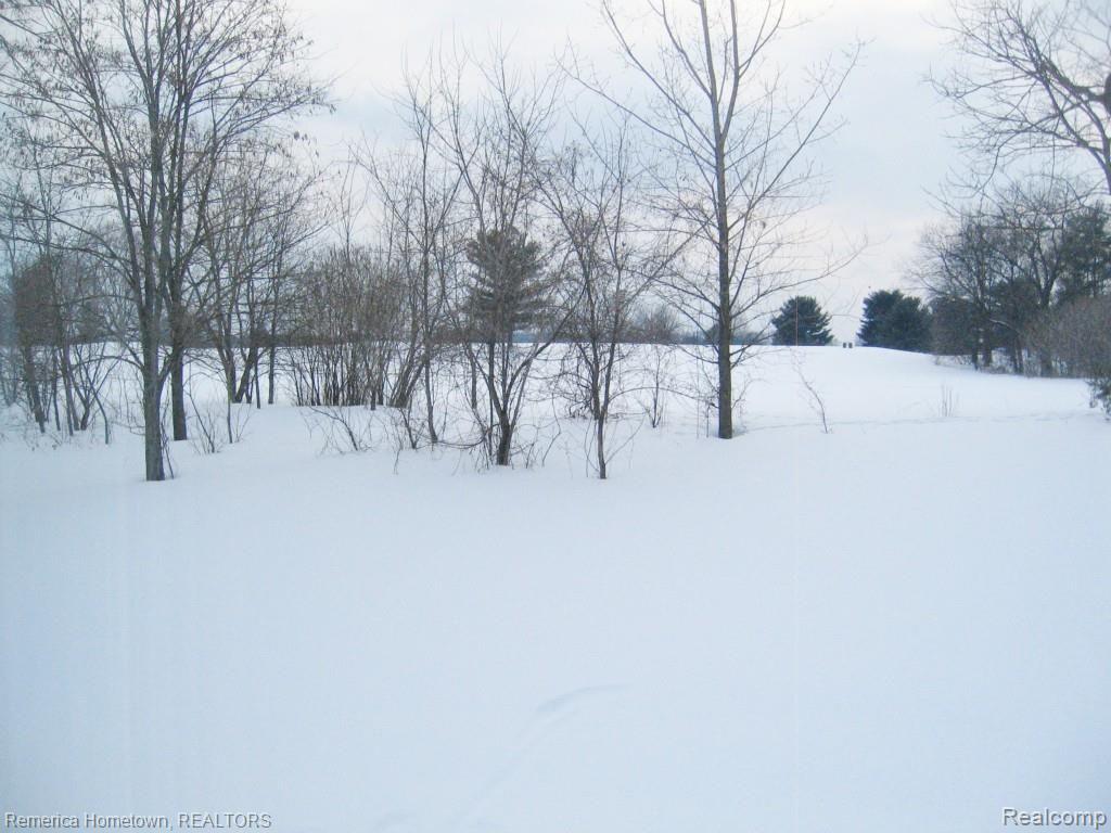 4582 Clifford Road Brighton, MI 48116 - Photo 34 of 34 9.5