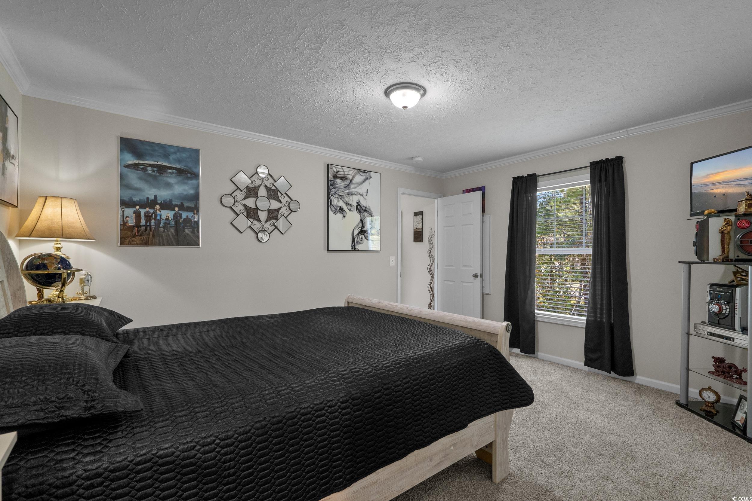 201 Air Stream Drive Myrtle Beach, SC 29577 - Photo 20 of 32