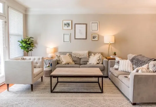 a living room with furniture and a potted plant