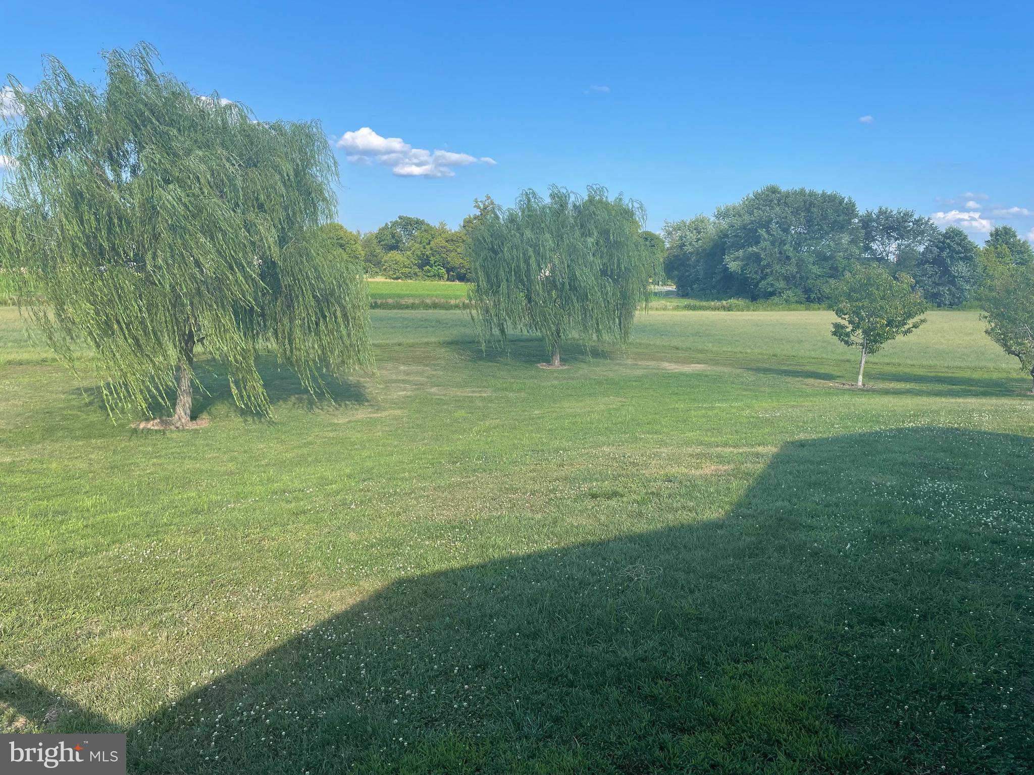 2537 Roberts Station Road Church Hill, MD 21623 - Photo 22 of 31 Established Willow Trees